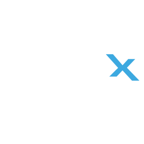 Logo Bonex Group